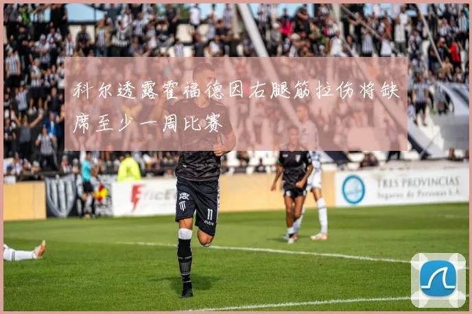 科尔透露霍福德因右腿筋拉伤将缺席至少一周比赛